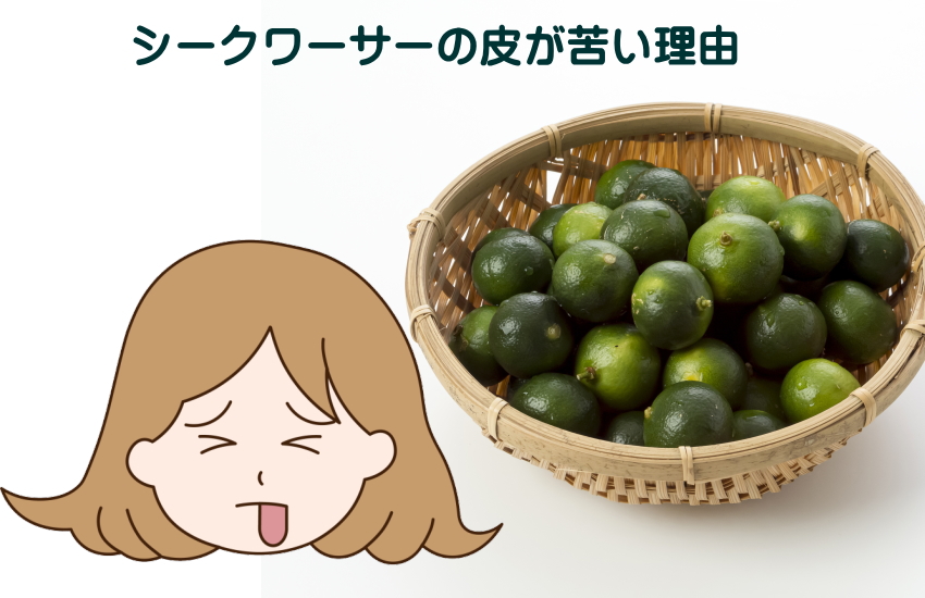 シークワーサー　皮　苦い