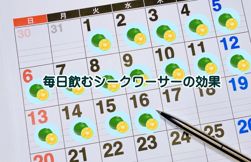 シークワーサー　毎日　効果