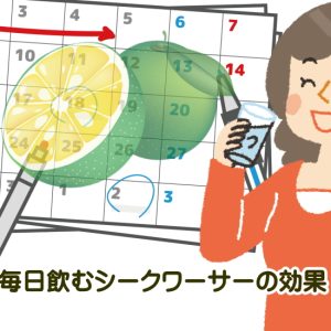 シークワーサーを毎日飲む効果は？3ヶ月継続した40代女性の体験談