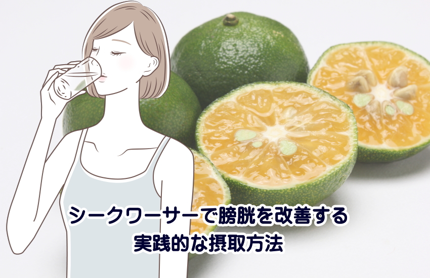 シークワーサー　膀胱