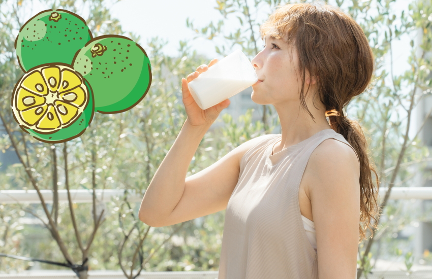 ノビレチン ダイエット 効果