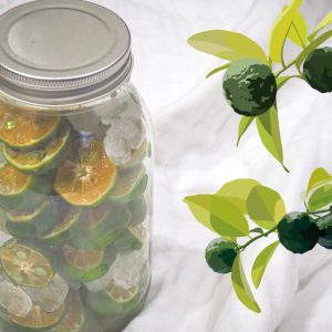 シークワーサーはちみつ漬けの日持ちは冷蔵庫で2〜3週間が限界！カビ・発酵を防ぐ注意点