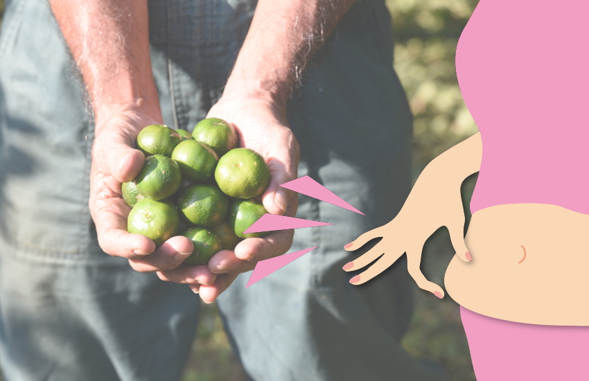 青切りシークワーサー 痩せない