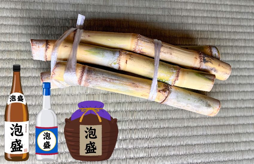 泡盛 サトウキビ