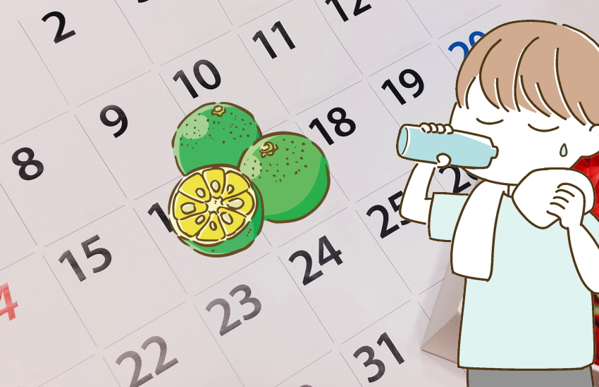 シークワーサー　毎日　効果