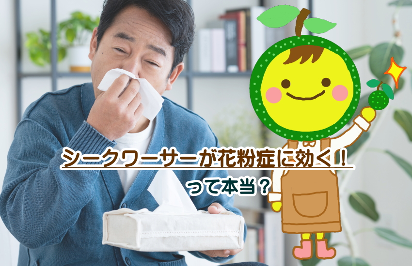 シークワーサー　花粉症