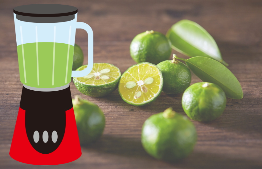 シークワーサー皮ごとミキサー