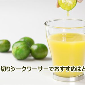 青切りシークワーサーおすすめは結局どれ？5つの判断軸でわかる後悔しない選び方