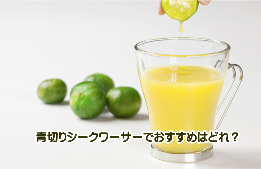 青切りシークワーサーおすすめ